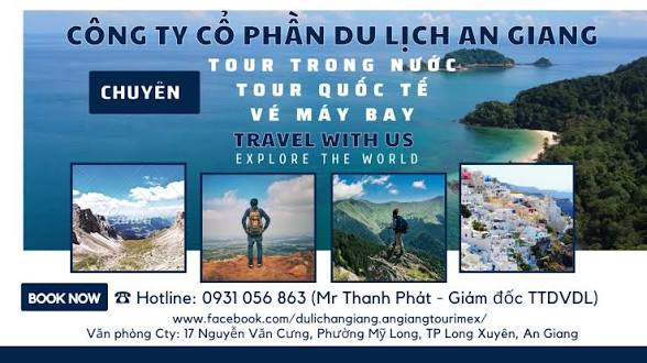 Lĩnh Vực Hoạt Động